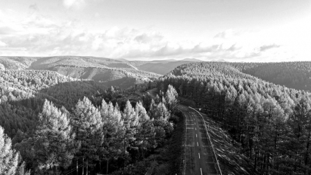 <br>          ■塞罕坝国家级自然保护区晨景<br>■供图/新华社<br><br>        