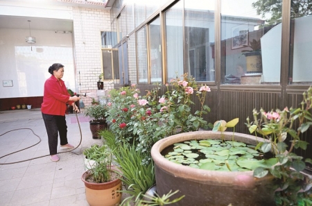 <br>          ■宁晋县魏家庄村村民张春联在春意盎然的庭院里管护鲜花 ■摄/河北日报记者赵永辉<br><br>        