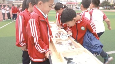 <br>          ■少先队员在观察岩石标本<br><br>        