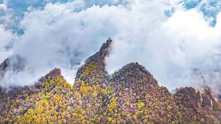 <br>          ■近日，石家庄五岳寨秋意正浓，漫山植被色彩斑斓，交织成一幅动人的太行秋卷■供图/五岳寨景区<br><br>        