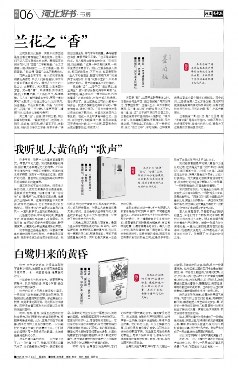 河北青年报2025年10月24日头版