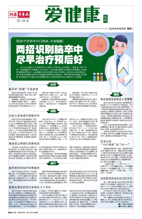 河北青年报2025年10月28日头版