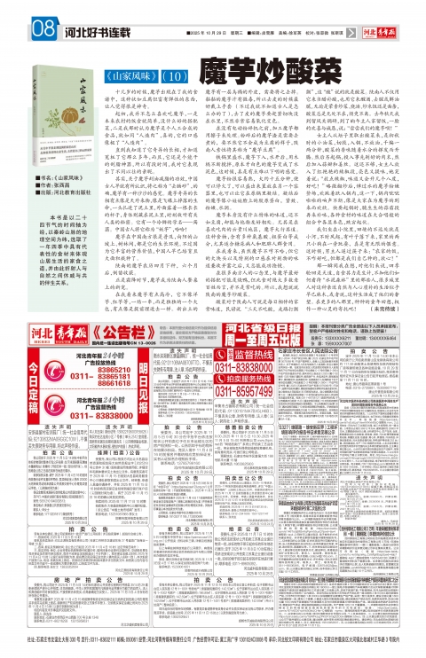河北青年报2025年10月29日头版