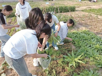 <br>          ◆学生在“知行园”采摘<br><br>        