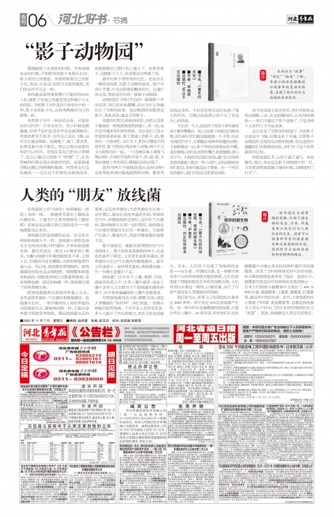 河北青年报2025年11月07日头版