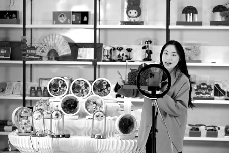 <br>          ■11月11日，在石家庄市那些花儿文化旅游产业示范基地，工作人员在直播带货<br><br>        