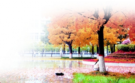 <br>          河北金融学院<br><br>        