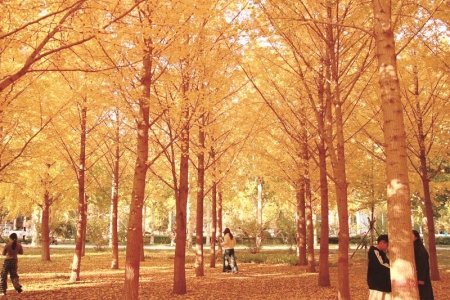 <br>          河北政法职业学院<br><br>        