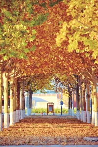 <br>          华北理工大学<br><br>        