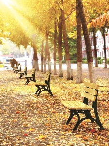 <br>          河北大学（七一路校区）<br><br>        