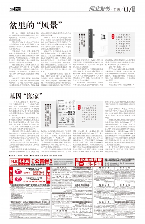 河北青年报2025年11月21日头版