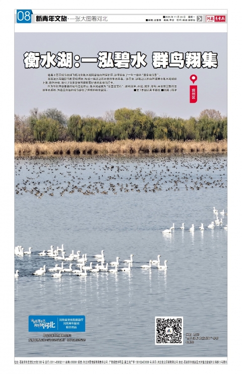 河北青年报2025年11月24日头版