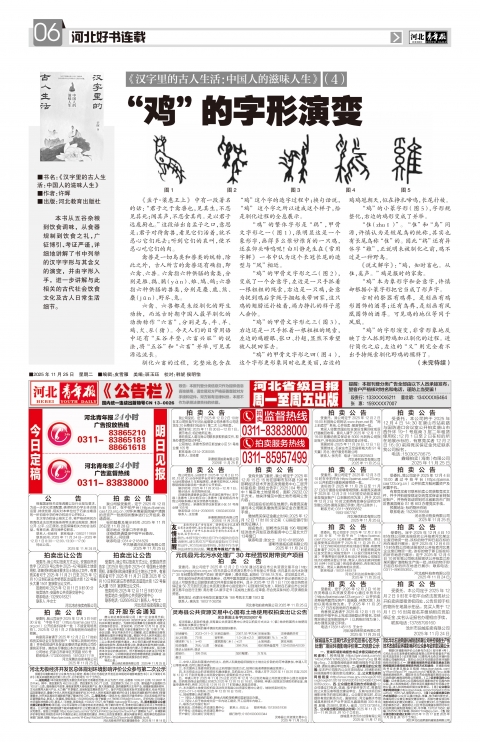 河北青年报2025年11月25日头版