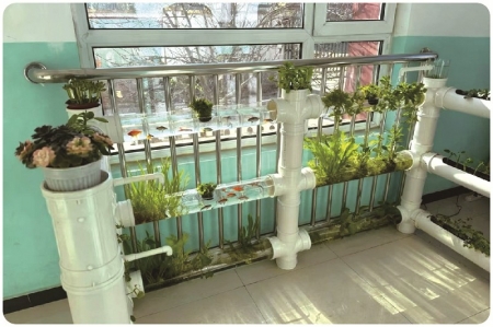 <br>          ■学校打造的“鱼花共生系统”项目<br><br>        