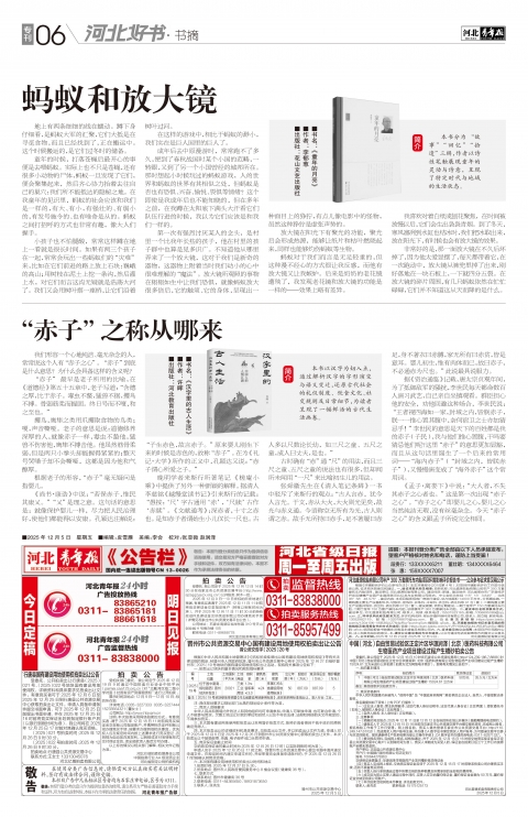 河北青年报2025年12月05日头版