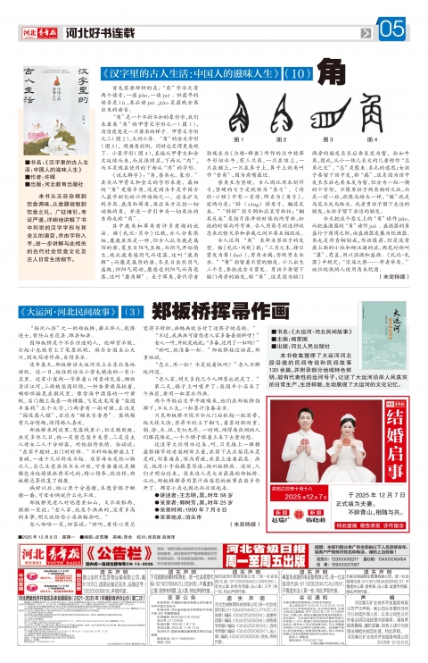 河北青年报2025年12月08日头版