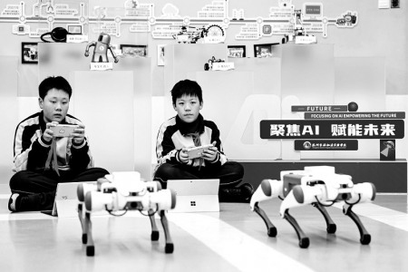 <br>          ■12月2日，杭州市保俶塔实验学校的学生们在学习如何给机器狗编程 ■供图/新华社<br><br>        