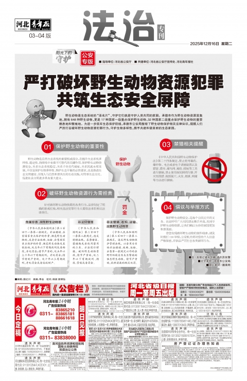 河北青年报2025年12月16日头版