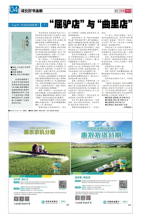 河北青年报2025年12月17日头版