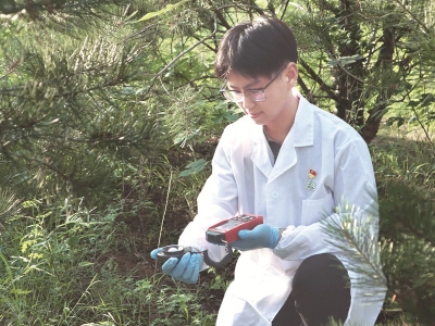 <br>          ■韦长江在对林下作物进行采样<br><br>        