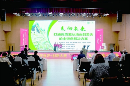 <br>          ■河北曲周刘庄科技小院学生进行路演展示<br><br>        