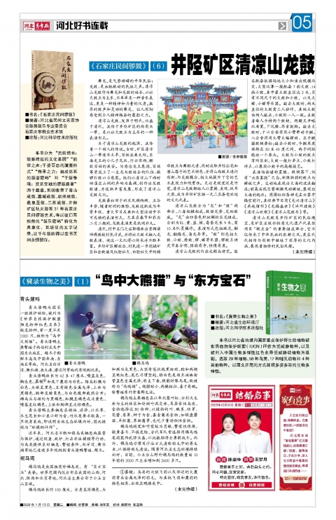 河北青年报2026年01月13日头版