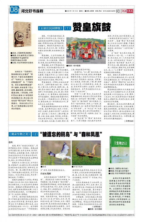 河北青年报2026年01月14日头版