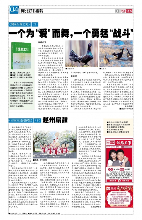 河北青年报2026年01月19日头版