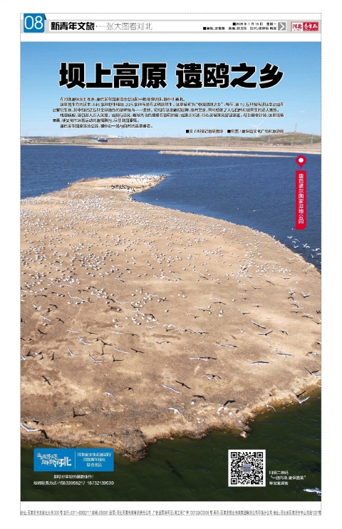 河北青年报2026年01月19日头版