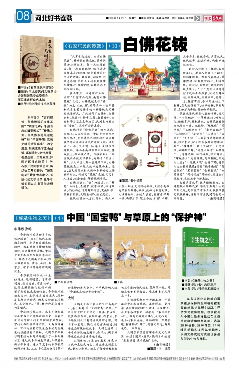 河北青年报2026年01月21日头版