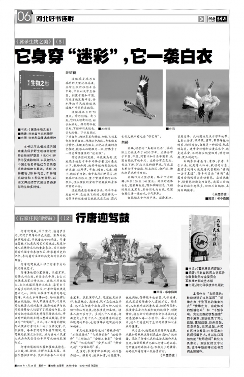 河北青年报2026年01月26日头版