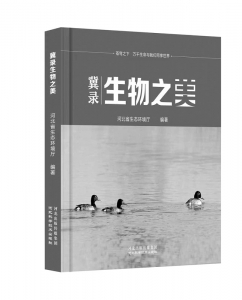 <br>          ■波斑鸨<br><br>        