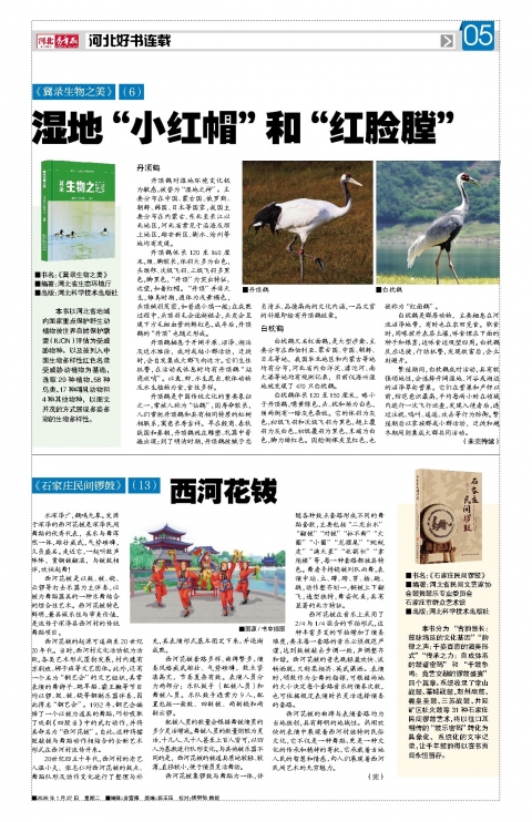 河北青年报2026年01月27日头版