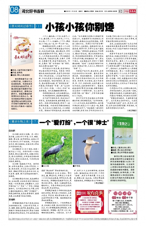河北青年报2026年01月28日头版