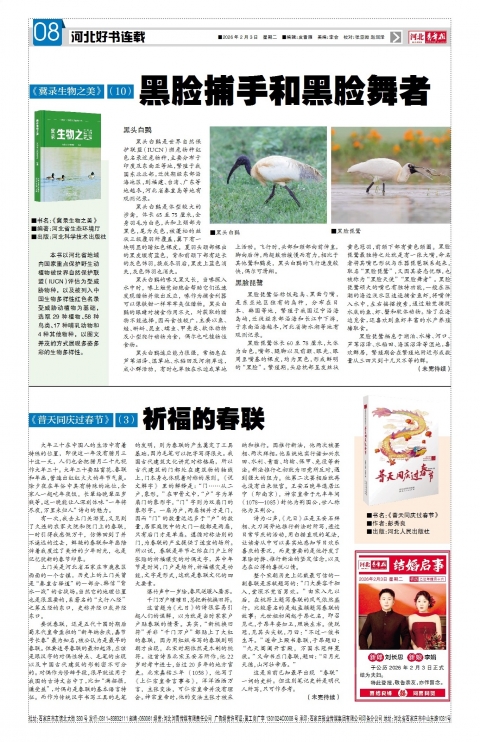 河北青年报2026年02月03日头版