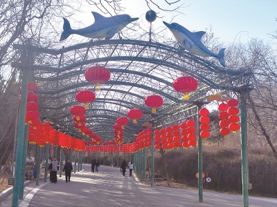 <br>          ■石家庄市动物园鹦鹉长廊，整齐悬挂的四连串红灯笼为节日增加了喜庆气氛 ■摄/本报记者张蕾<br><br>        
