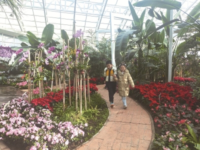 <br>          ■小朋友在植物园花展现场观赏游玩<br><br>        