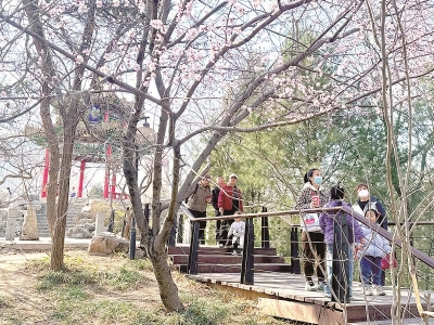 <br>          ■市民在裕西公园赏山桃花<br><br>        