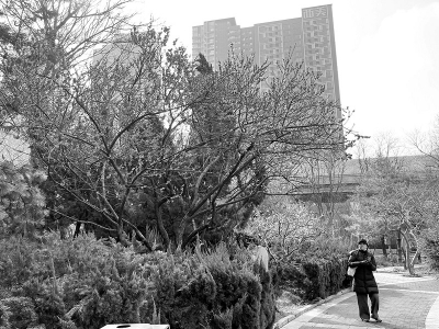 <br>          ■市民在春花园赏花游玩<br><br>        
