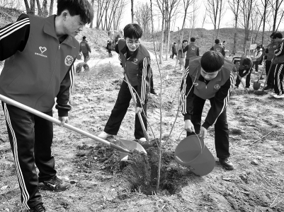 <br>          ■青年志愿者以实际行动为大地添新绿 ■供图/共青团石家庄市委<br><br>        