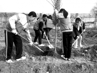 <br>          ■本次植树活动累计栽种各类苗木300余株<br>■供图/共青团定州市委<br><br>        