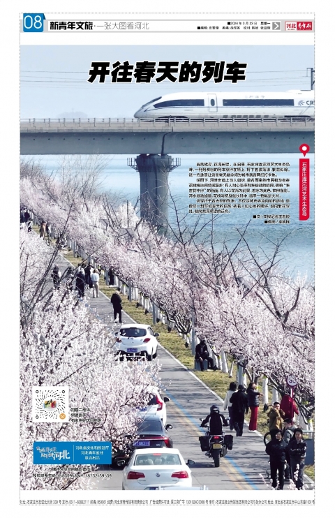 河北青年报2026年03月23日头版