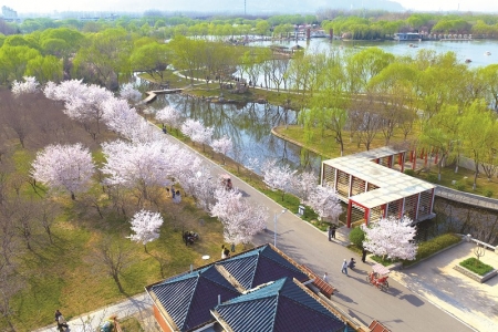 <br> ■石家庄市植物园繁花似锦绿意葱茏,满园春色交织成绝美画卷<br><br>