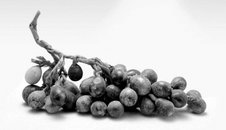 <br>          ■武强年画博物馆<br><br>        