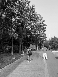 <br>          ■市民游客打卡拍照<br><br>        