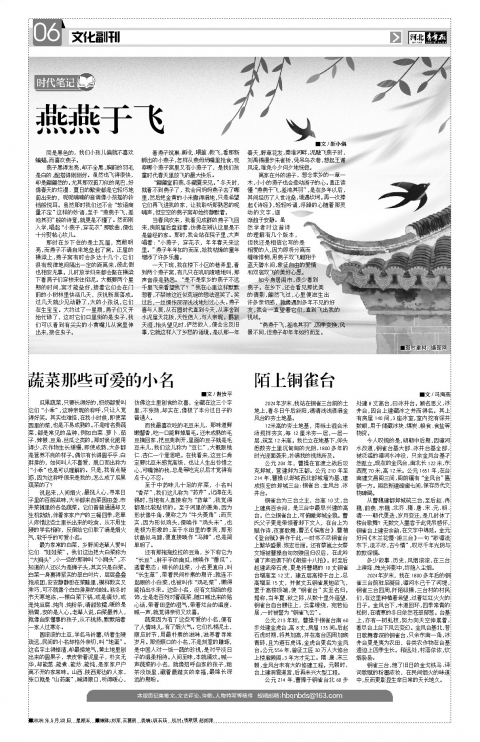 河北青年报2026年05月22日头版