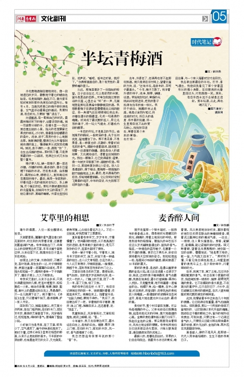 河北青年报2026年06月05日头版