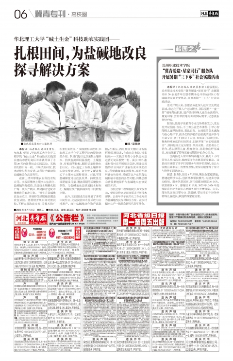 河北青年报2026年08月12日头版