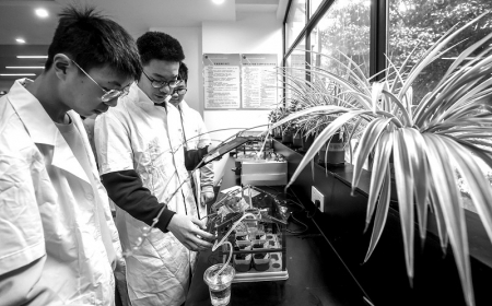 <br>          ■在东北师范大学南湖实验教育集团智慧生态实验室内，学生们运用人工智能技术搭建智慧农场模型<br><br>        