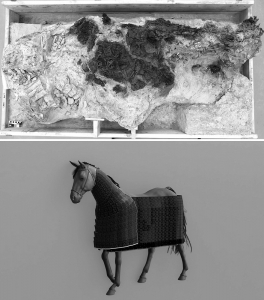 <br>          ■由青海都兰热水墓群2018血渭一号墓经套箱提取修复前的唐代髹漆马铠甲<br><br>        